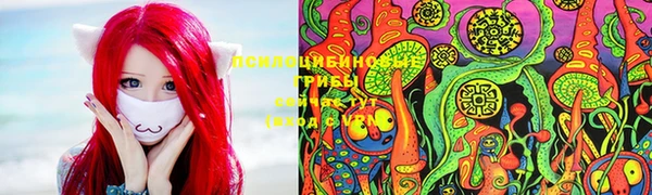 соль ск Беломорск