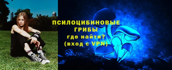 таблы Белокуриха