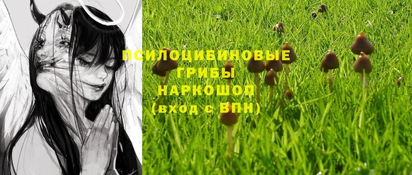 таблы Белокуриха