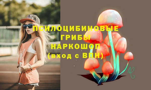 альфа пвп Богородицк